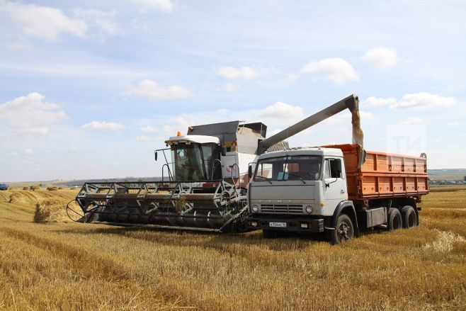 В Татарстане намолочено более 1,2 млн тонн зерна
