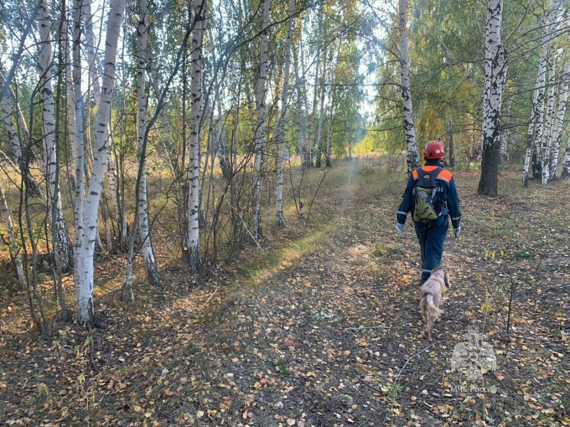 Почти сутки спасатели искали женщину, которая ушла за грибами под Лаишево и  пропала