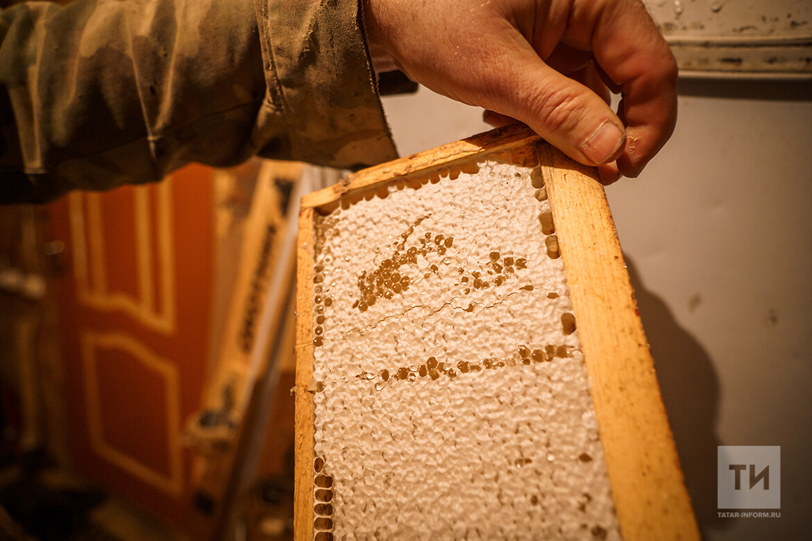 Павильоны для пчел (без прицепа) в интернет-магазине инвентаря для пчеловода - Uleyshop