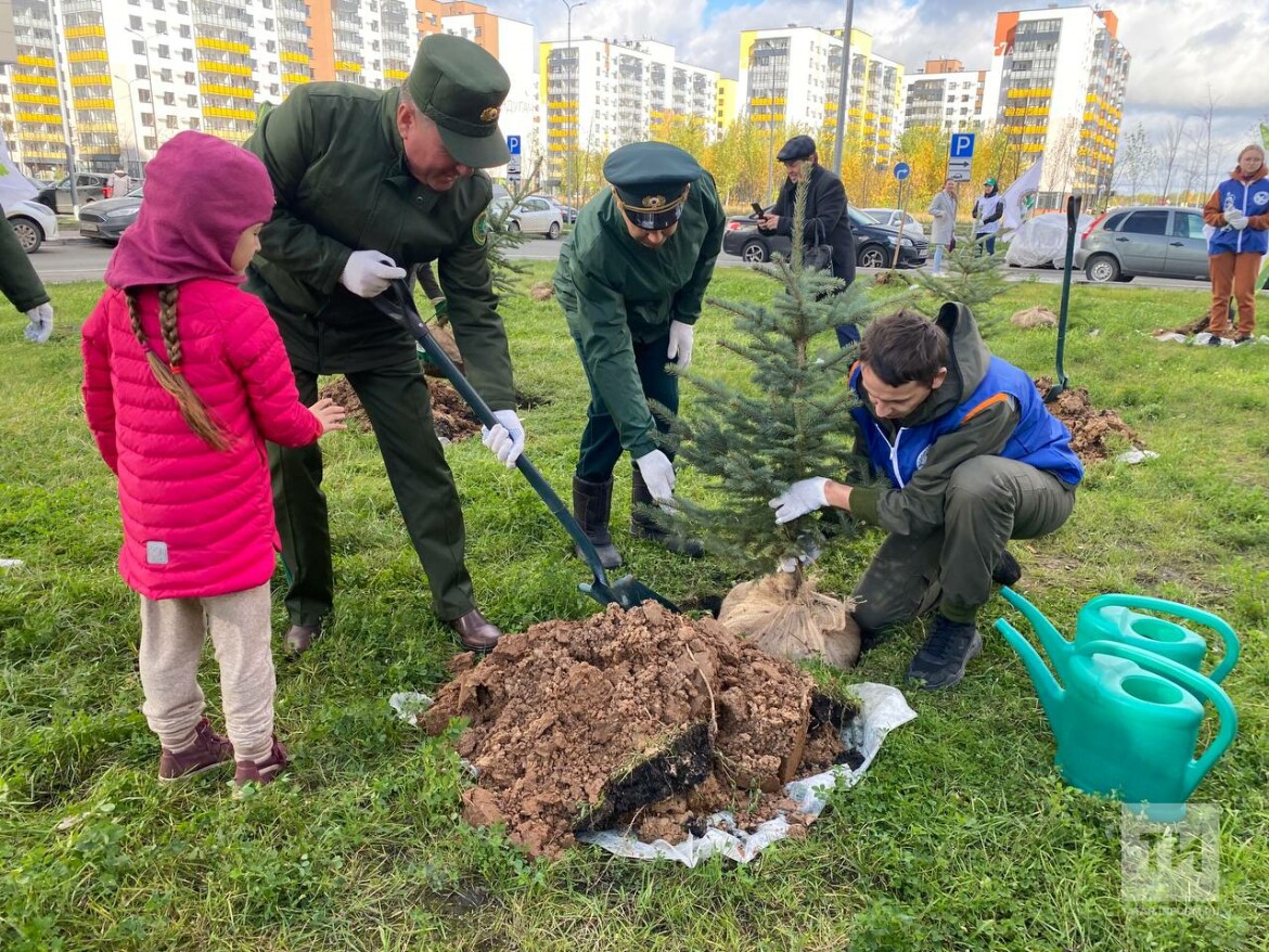 Акция дерево победы фото