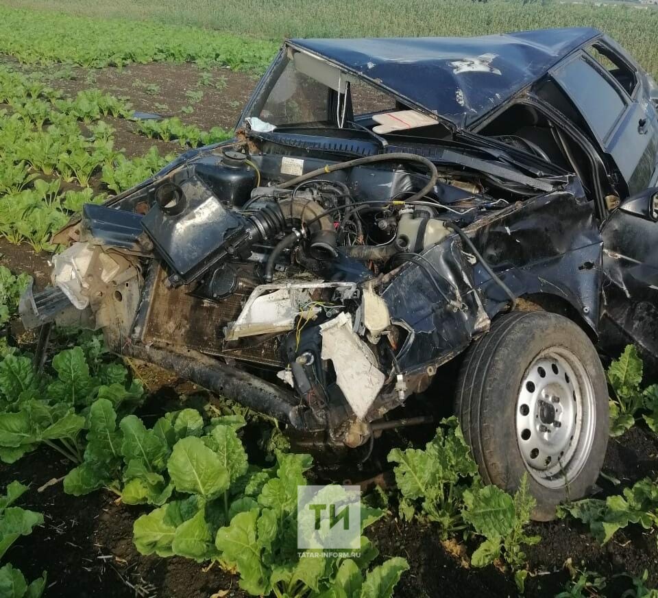 Еду всюду кочки вылетают позвоночки