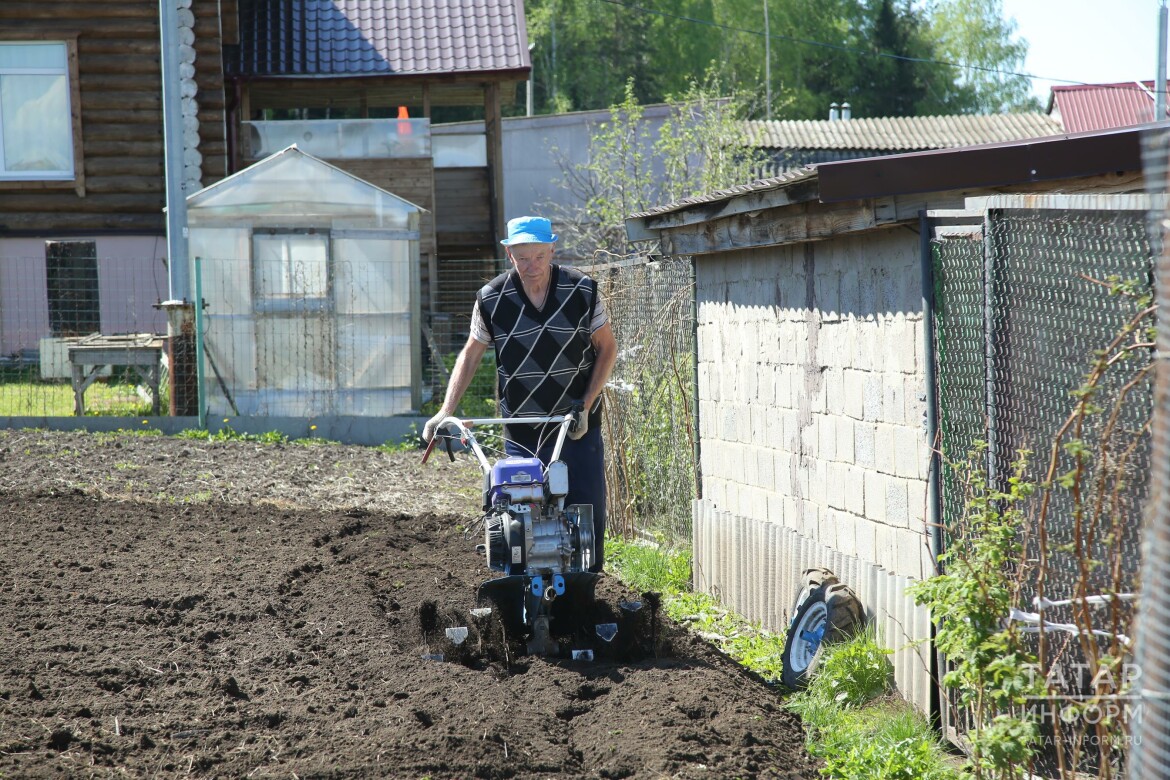 Хорошо ли иметь домик в деревне: плюсы и минусы загородной дачи