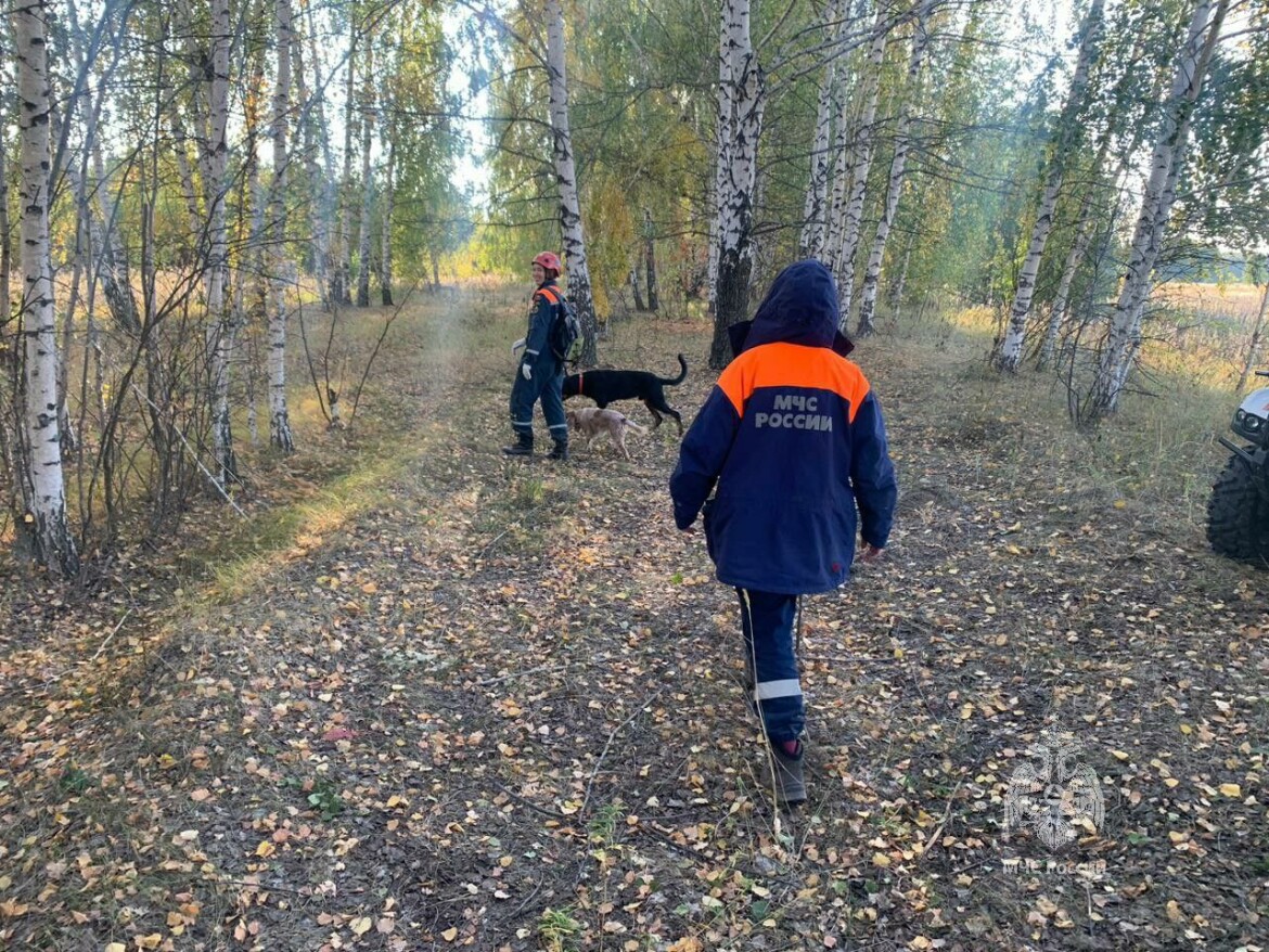 Почти сутки спасатели искали женщину, которая ушла за грибами под Лаишево и  пропала