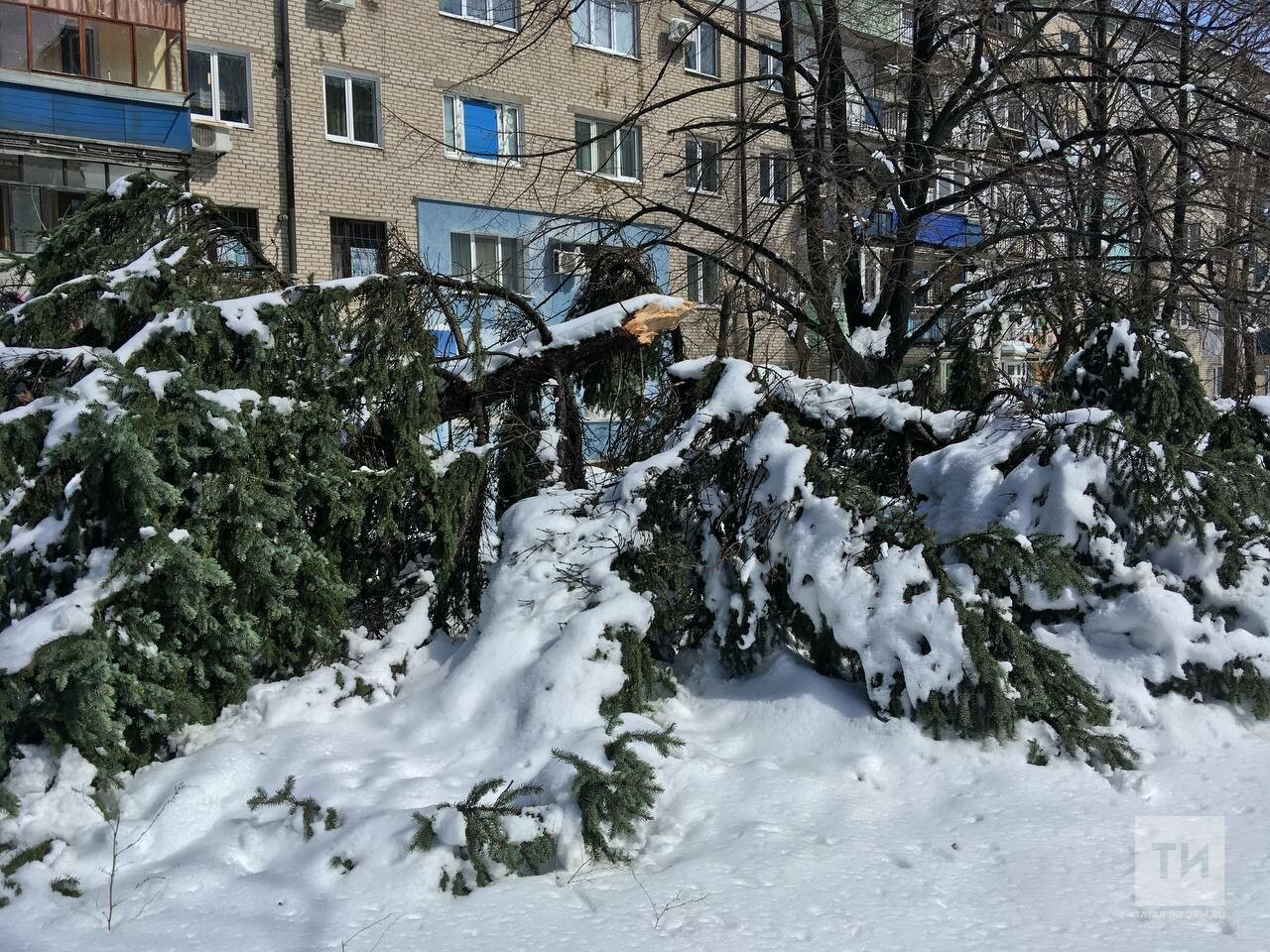 Иней телеграмм канал. Снег. Много снега. Снежный Покров. Мартовский снегопад в городе.