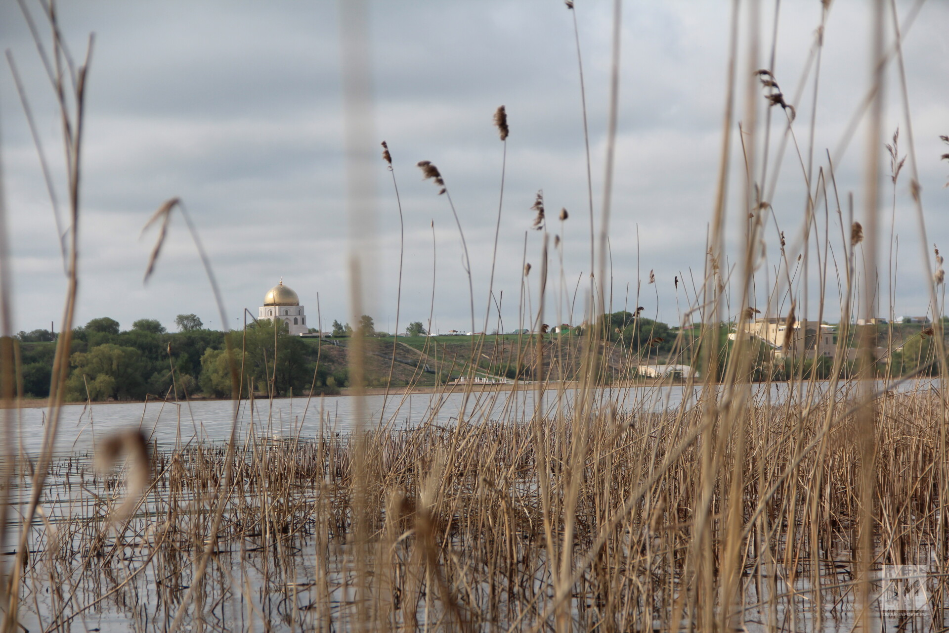 В акватории Куйбышевского водохранилища установили 4 тыс. искусственных гнезд для нереста
