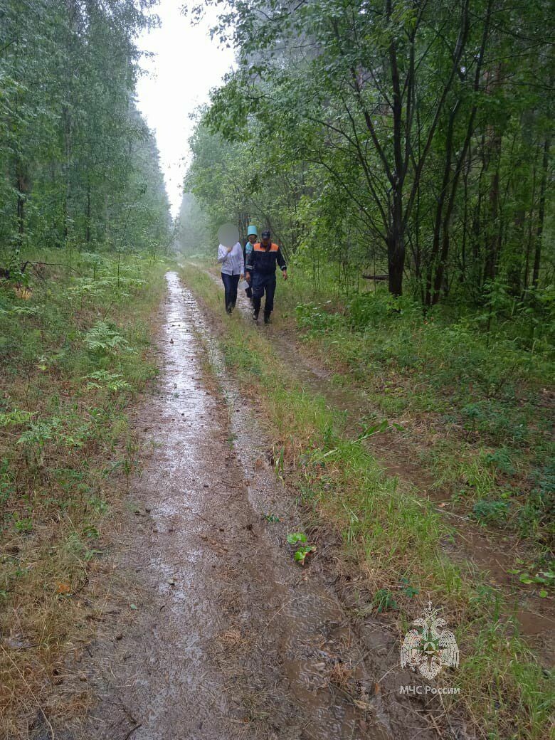 В Елабужском районе РТ спасли женщин, заблудившихся в лесу во время сбора ягод
