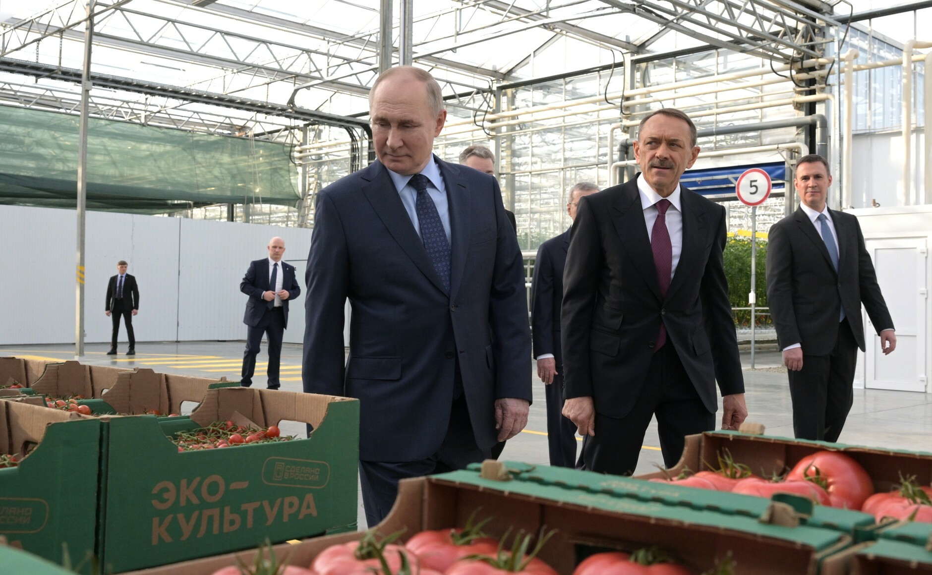 Путину в Ставрополе показали теплицы для выращивания томатов и робота для сбора овощей