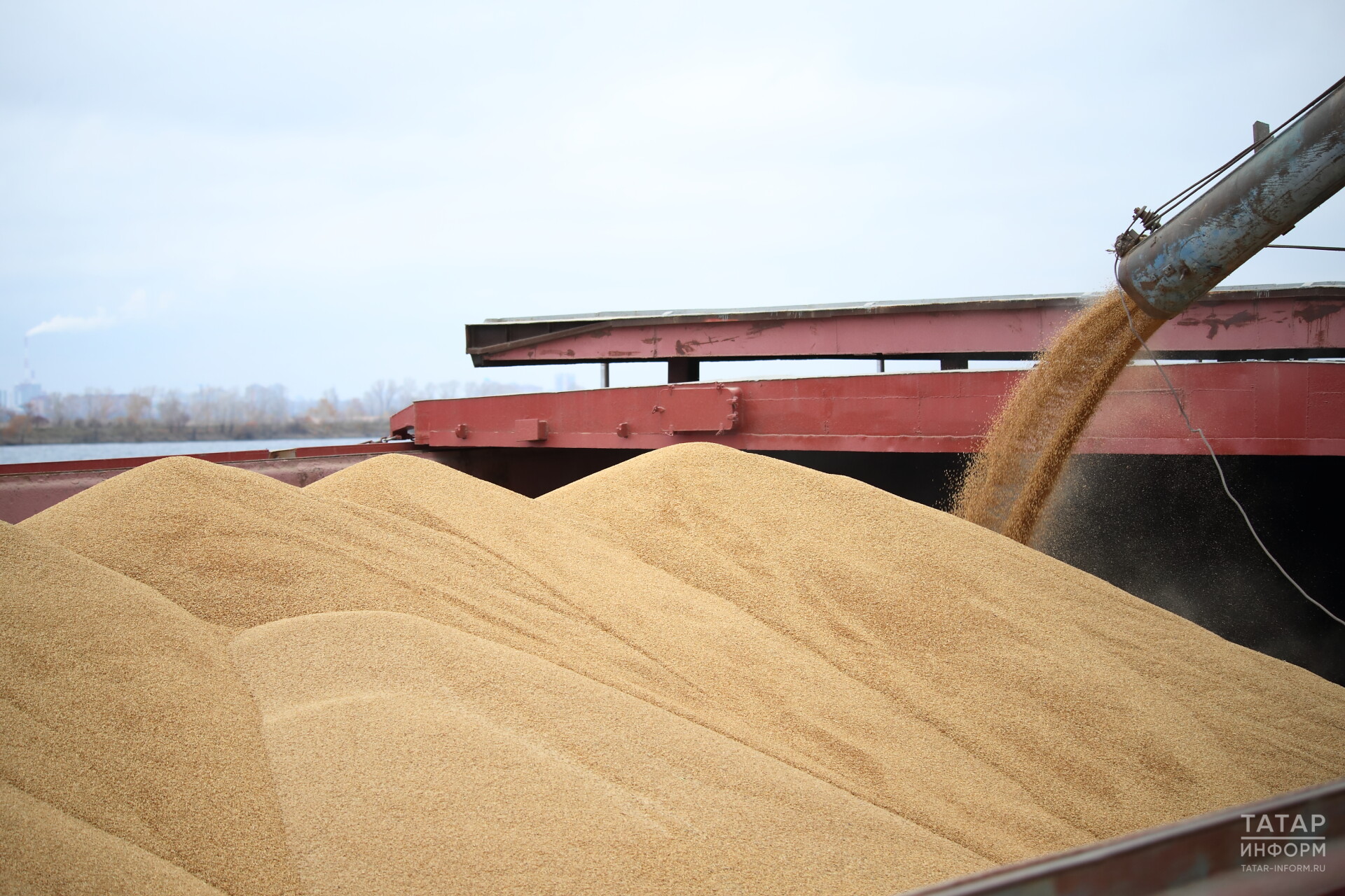 Из Татарстана с начала года отправлено на экспорт более 50 тыс. тонн зерна