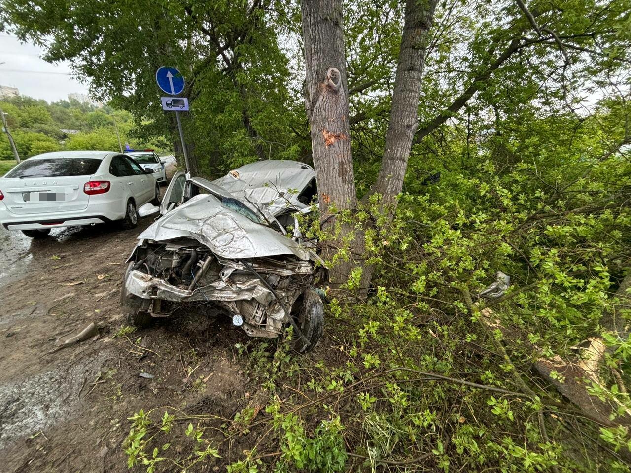 В Зеленодольске водитель погиб, врезавшись на авто в дерево