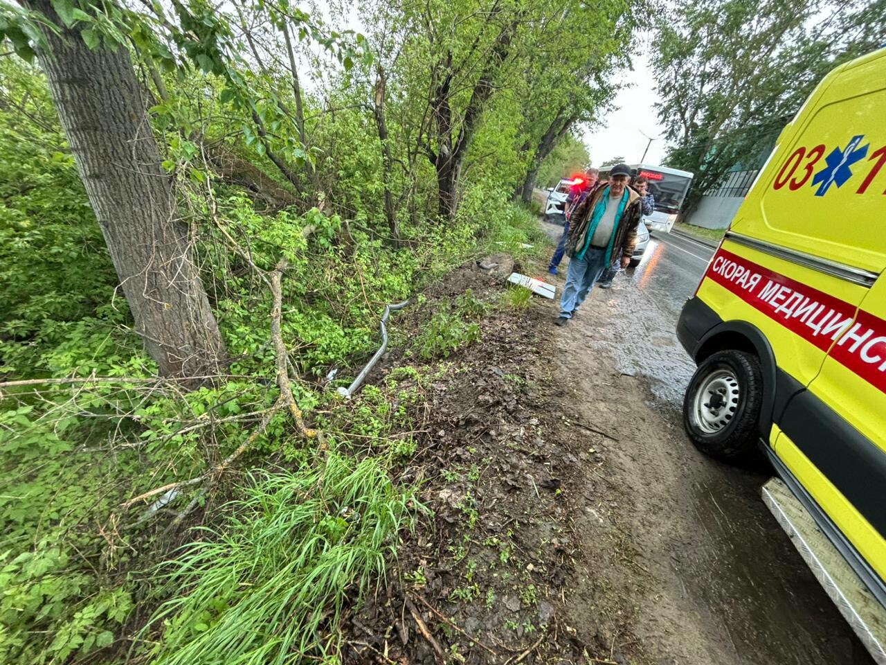 В Зеленодольске водитель погиб, врезавшись на авто в дерево