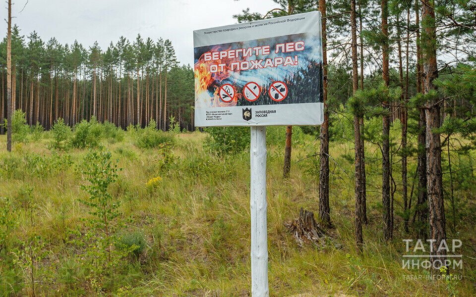 В Татарстане объявили штормовое предупреждение о высокой пожарной опасности лесов