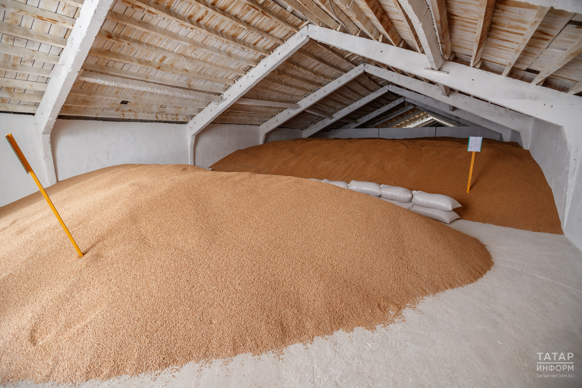 В Татарстане отгружено 5 тыс. тонн пшеницы для экспорта в Египет