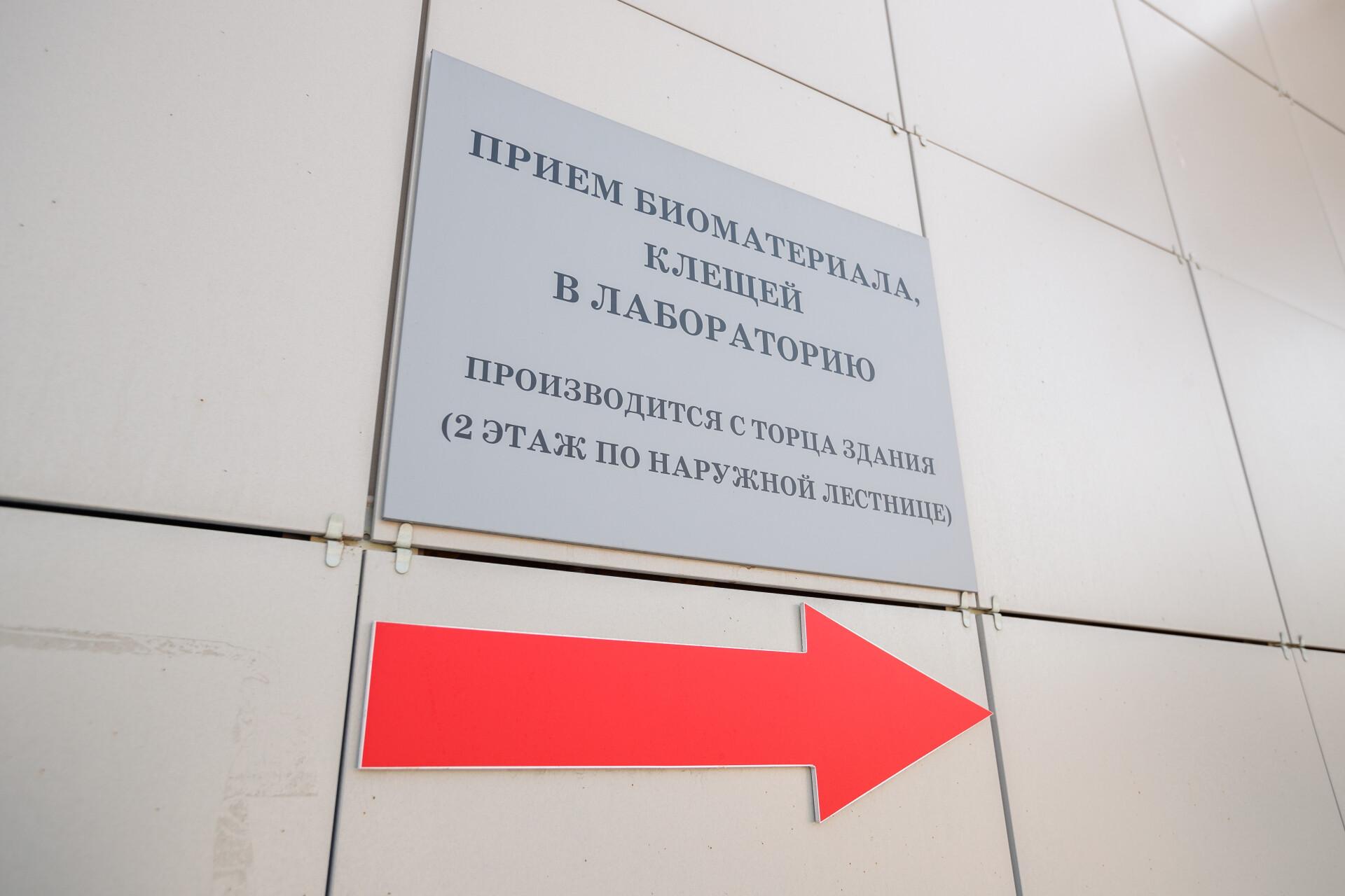 Более 4,5 тысячи татарстанцев обратились в клиники из-за укусов клещей с начала года