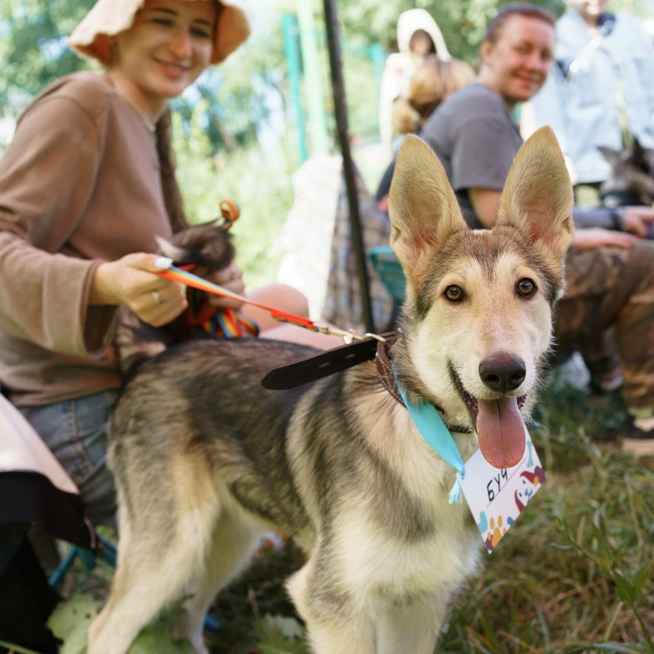 Еще три собаки смогли обрести семью благодаря акции «Лапа дружбы» в Казани