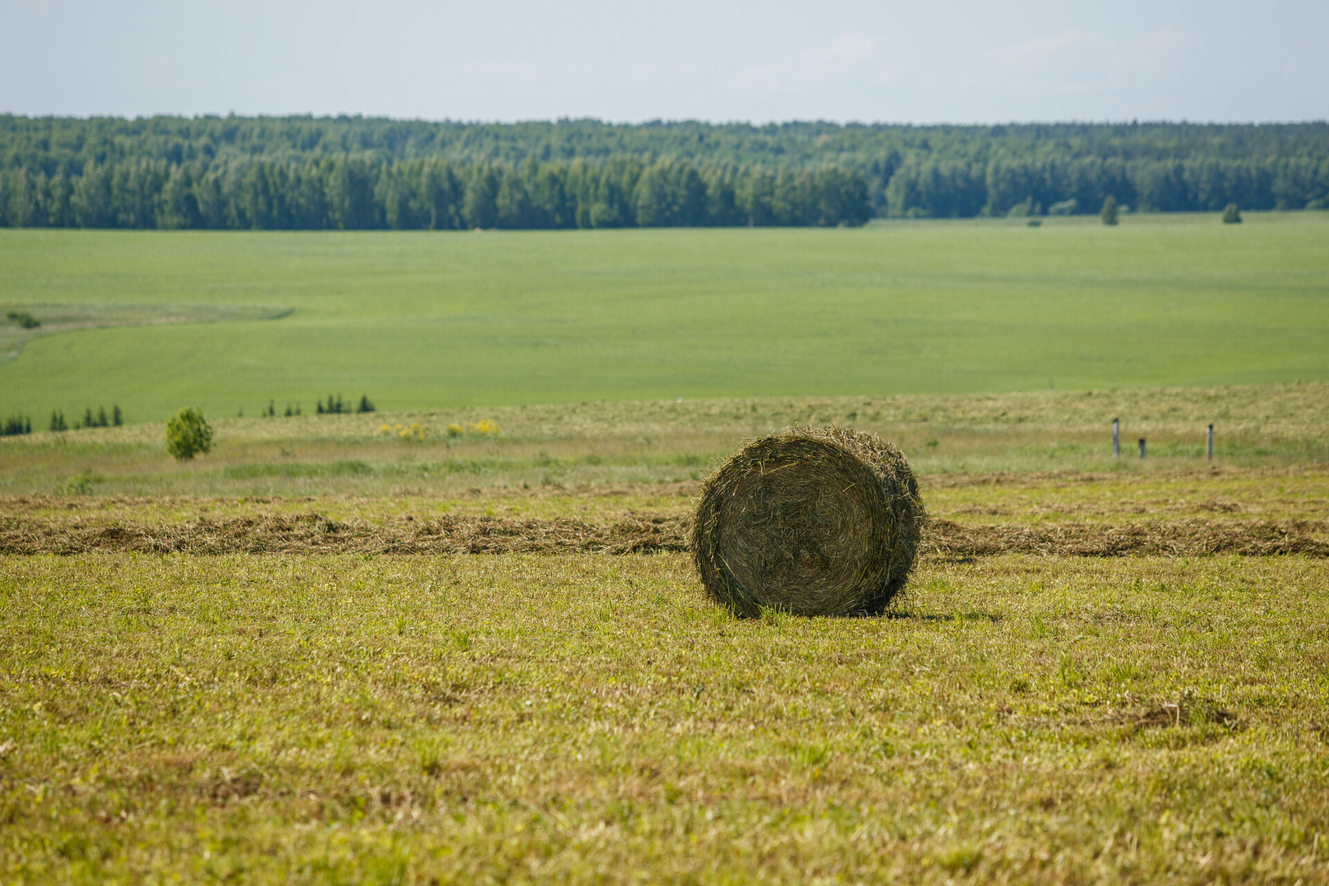 Зяббаров призвал аграриев в хорошую погоду активизировать заготовку кормов