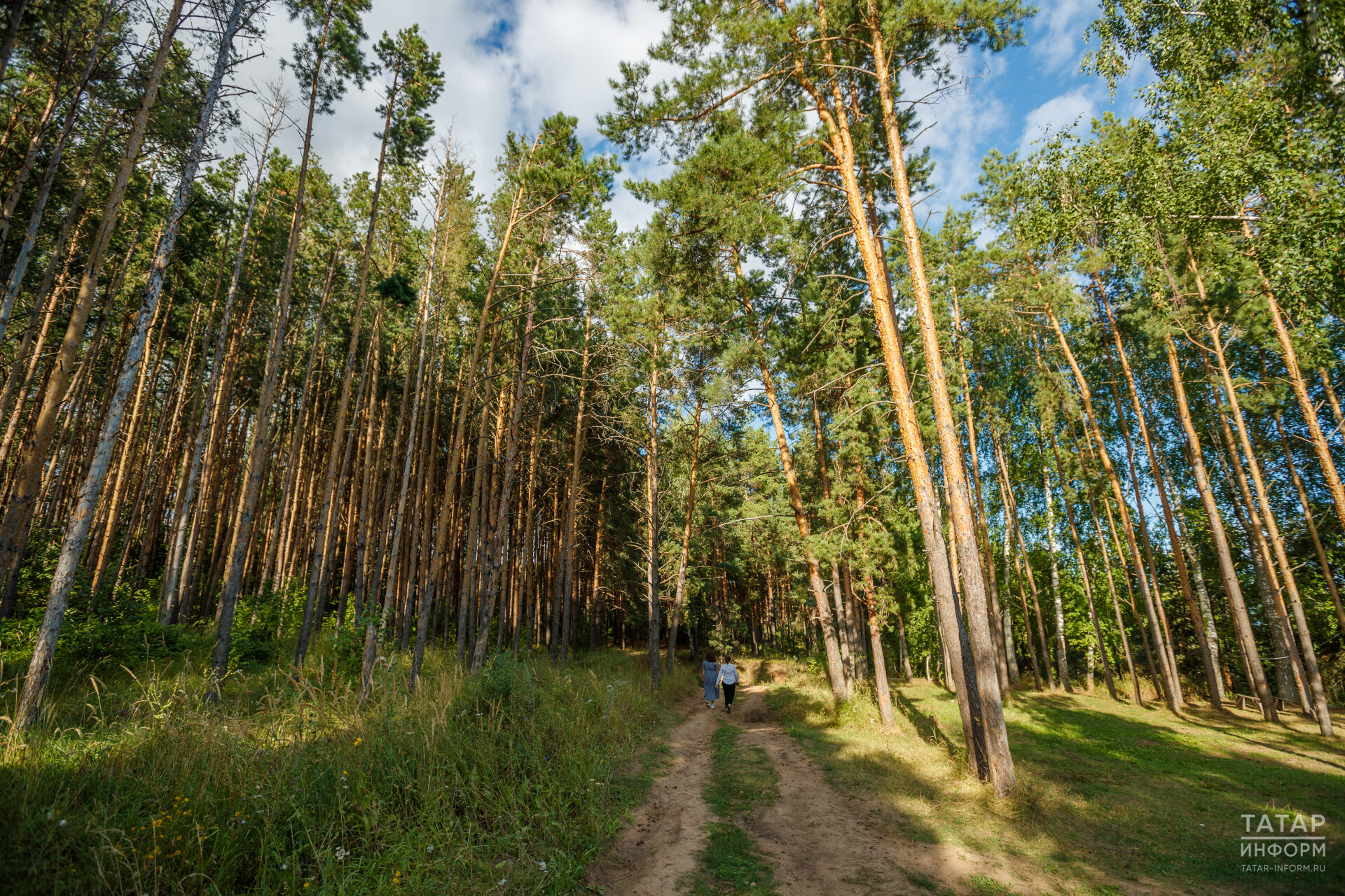 Минлесхоз намерен продлить ограничение на посещение лесов в 7 районах Татарстана