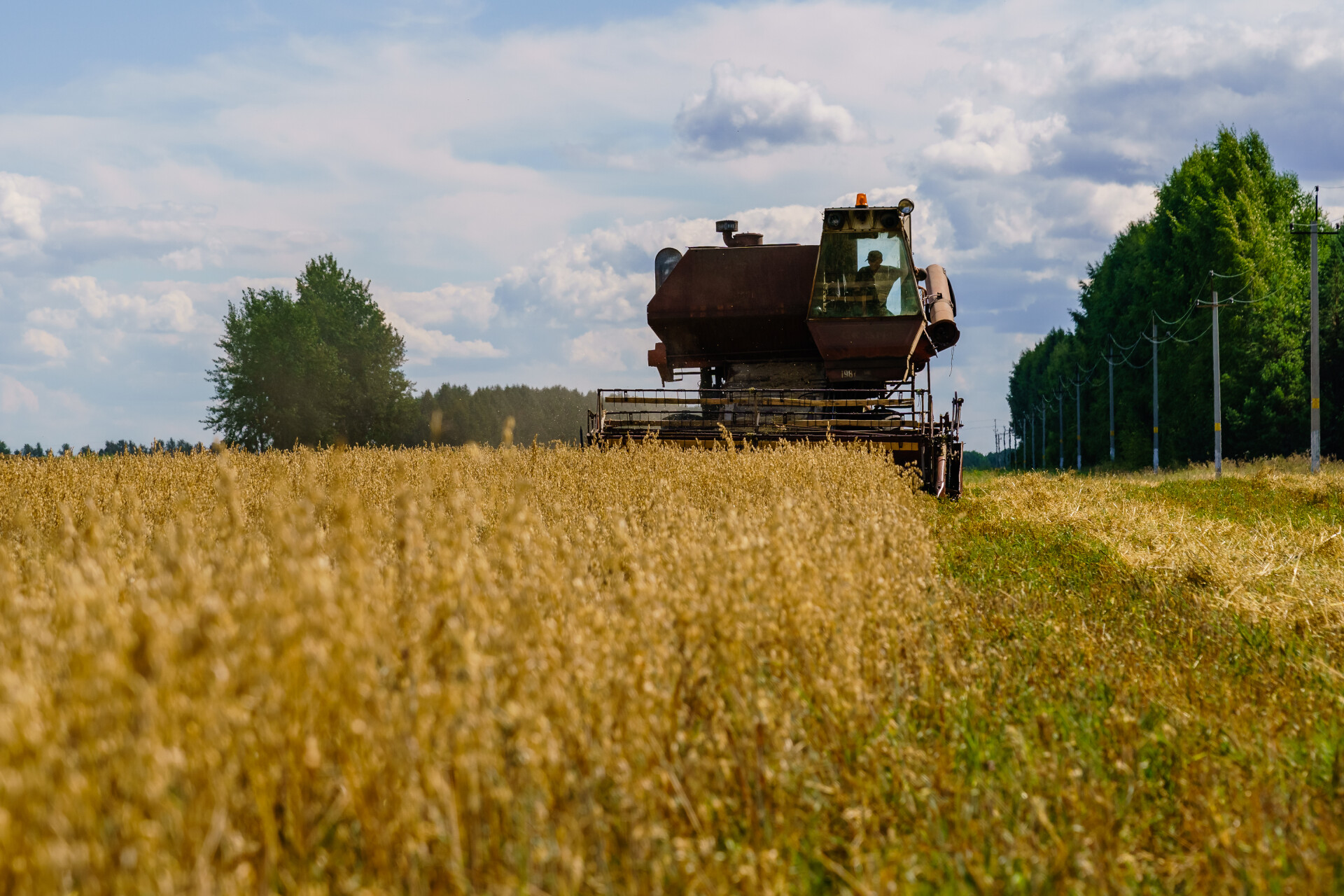 Альтернатива для хранения зерна и интерес к Китаю: в Татарстане началась уборка урожая