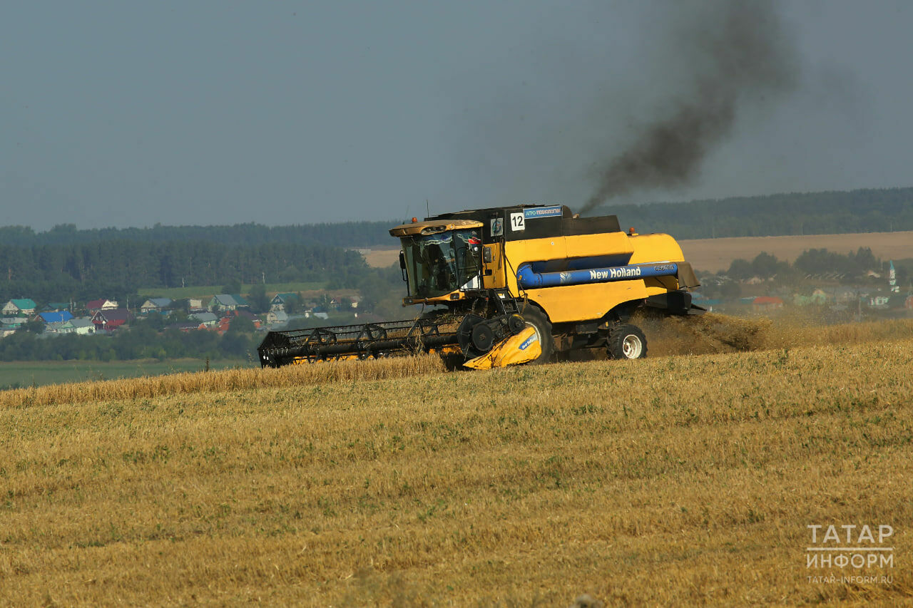 Минниханов: В Татарстане намолочено более 676 тысяч тонн зерна