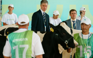 На выставке «Агроволга» прошел конкурс красоты среди коров