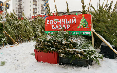 В Казани начали работать елочные базары: называем адреса