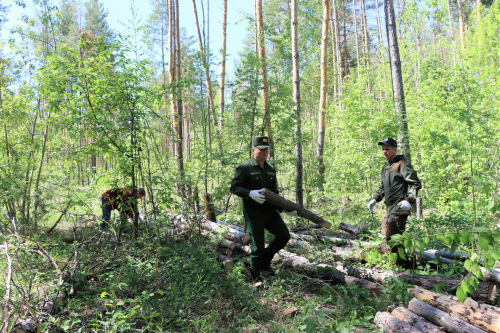 Под Казанью прошло центральное мероприятие акции «Чистые леса Татарстана»