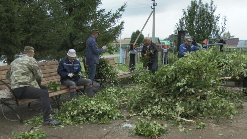 «Раньше воины также восстанавливались»: нижнекамцы готовят веники и иван-чай для СВО