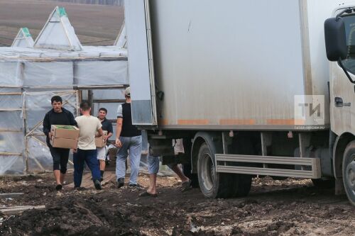 Теплица в селе Нижние Аты