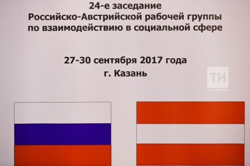 Заседание рабочей группы по взаимодействию в социальной сфере (Россия - Австрия)