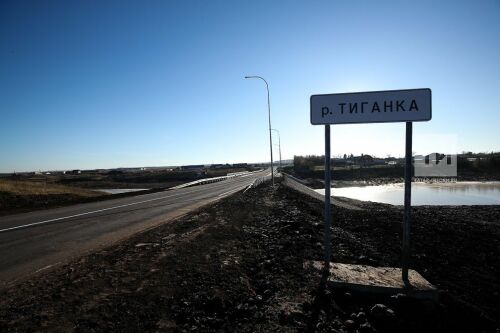 Обновленный мост в селе Большие Тиганы Алексеевского района