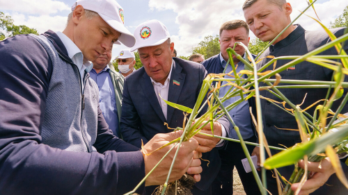 Марат Ахметов и депутаты Госсовета обсудили развитие системы мелиорации