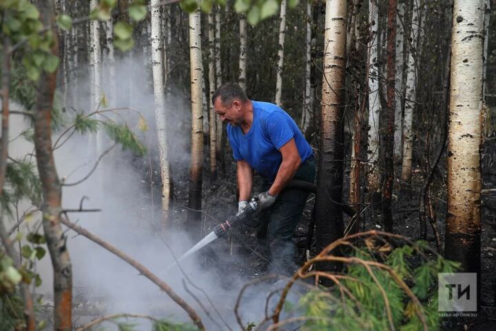 МЧС: Огонь в лесах Марий Эл отступил, угрозы населенным пунктам нет