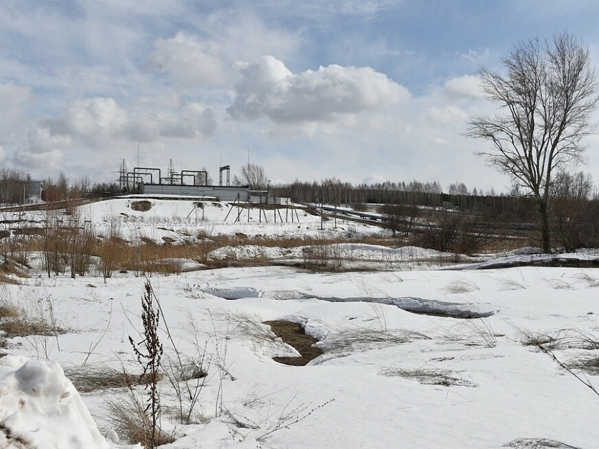 На въезде в Нижнекамск планируется создать городской лесопарк