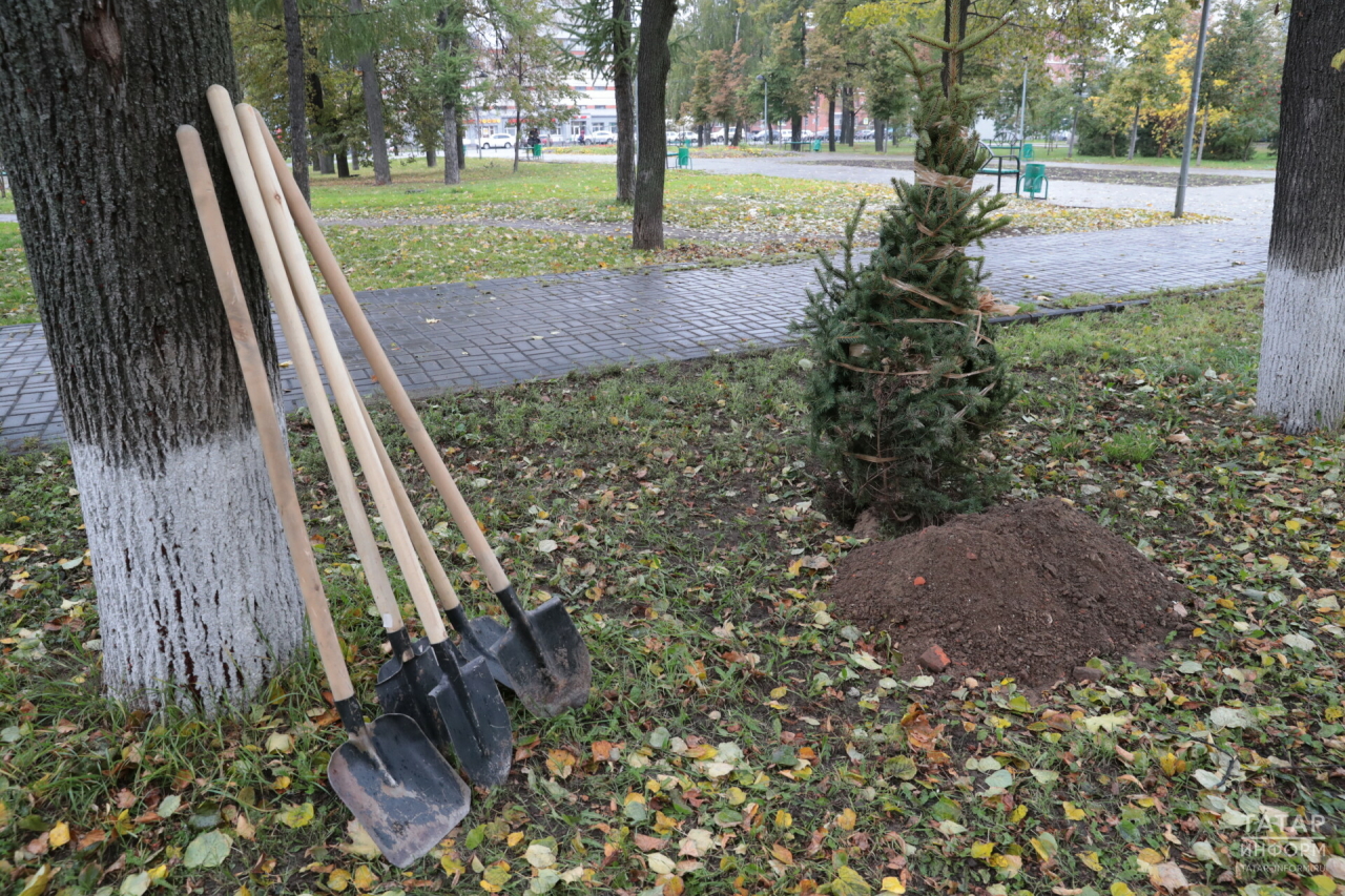 Песошин поручил провести всероссийскую акцию «Сохраним лес» в Татарстане