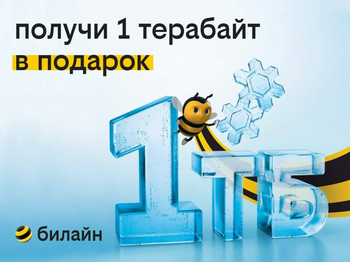 1 терабайт для всех: билайн дарит возможность забыть о трафике на целый год