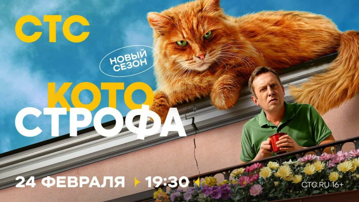 «Котострофа» на СТС: Деревянко и Кологривый как кошка с собакой