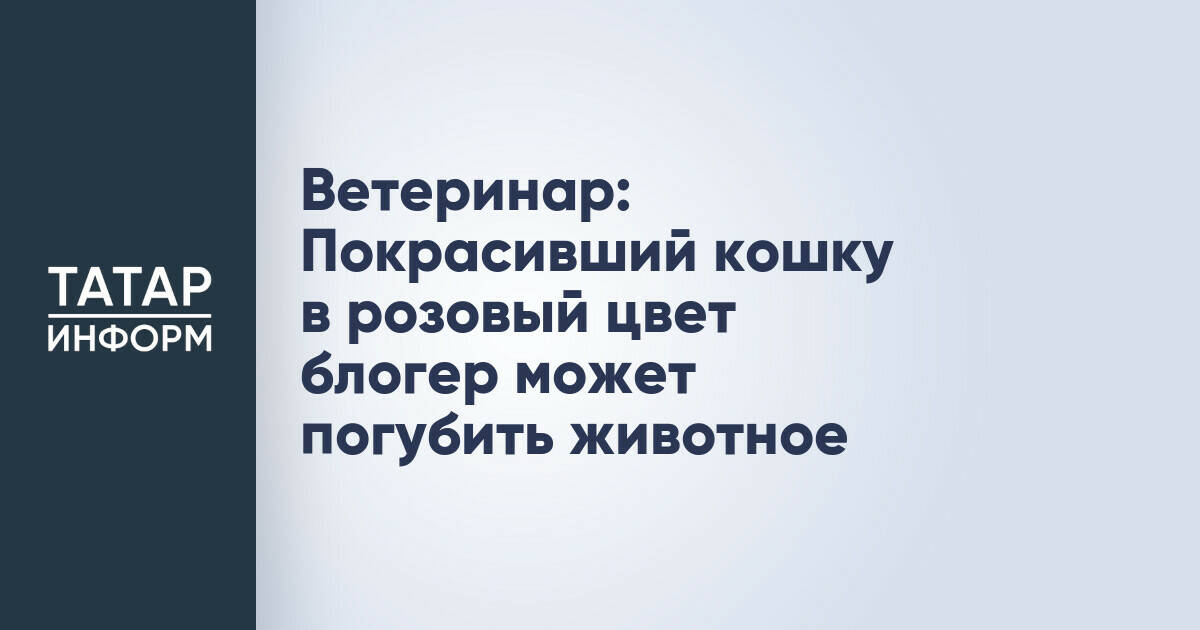 Ветеринар: Покрасивший кошку в розовый цвет блогер может погубить животное