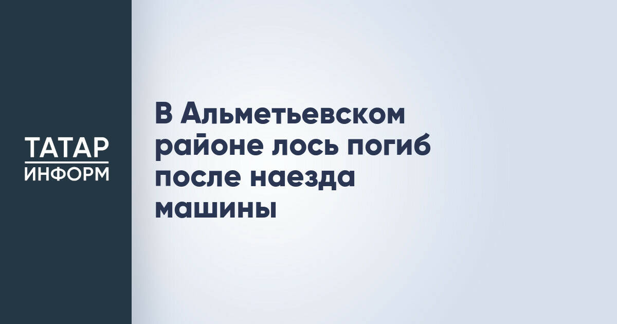 В Альметьевском районе лось погиб после наезда машины