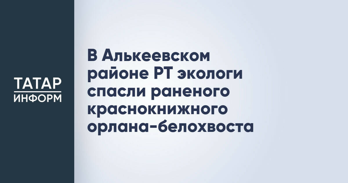 В Алькеевском районе РТ экологи спасли раненого краснокнижного орлана-белохвоста