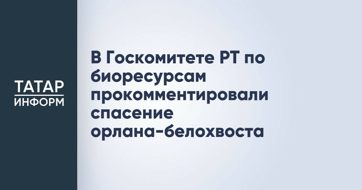 В Госкомитете РТ по биоресурсам прокомментировали спасение орлана-белохвоста