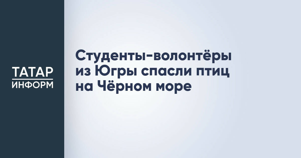 Студенты-волонтёры из Югры спасли птиц на Чёрном море