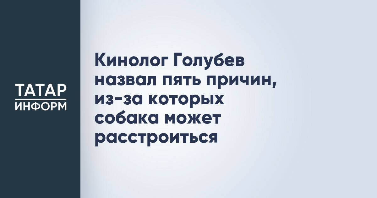 Кинолог Голубев назвал пять причин, из-за которых собака может расстроиться