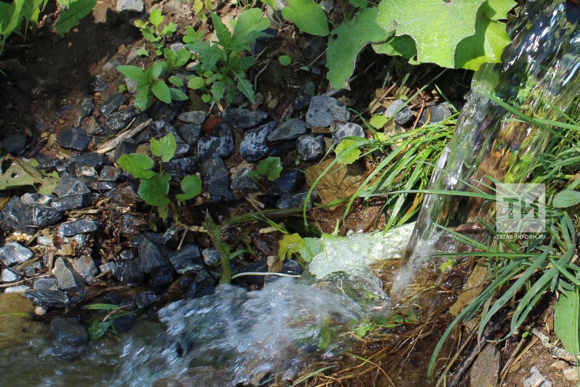 Отдел водных ресурсов. Отдел водных ресурсов РТ. Вода на Куйбышево. Водные богатства Куйбышевского района. Змеи и Родники.