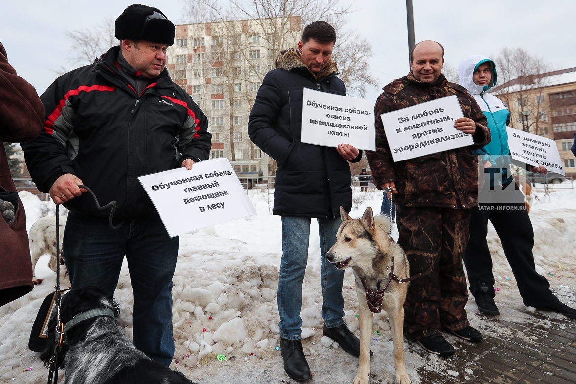 Выступает в защиту